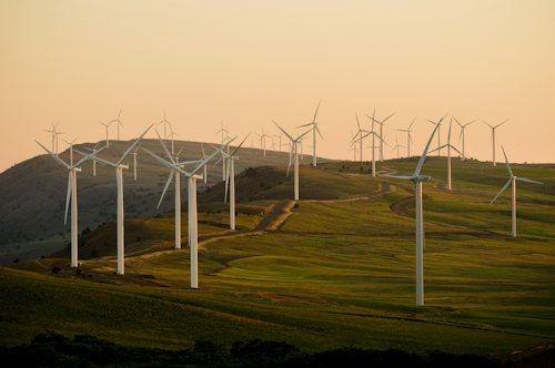 Conduite de projet social & environnemental