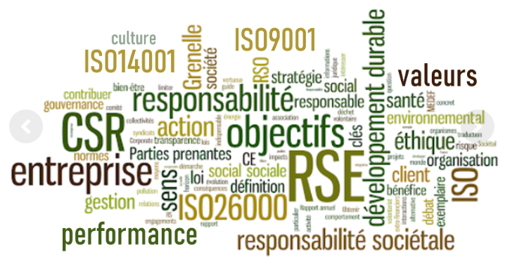 Intégration du management RSE au projet